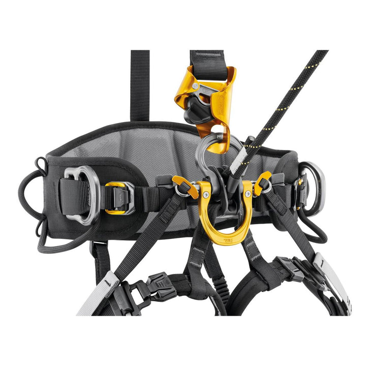 Astro Harness