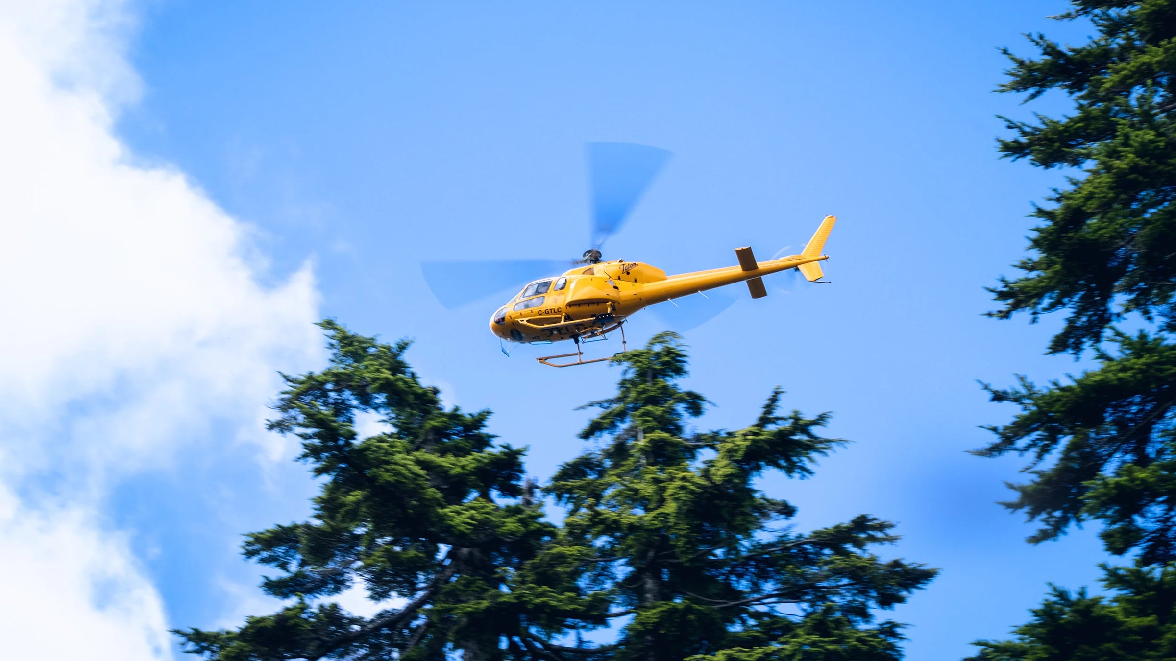 Wildland Rescue